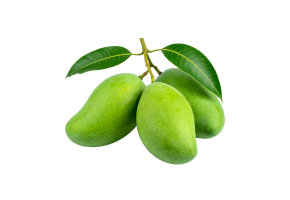 Tota Mango -  तोता आम - તોતા કેરી